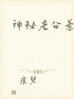 神秘老公惹不起