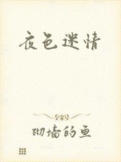 夜色迷情