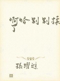 啊哈别别揉那处了