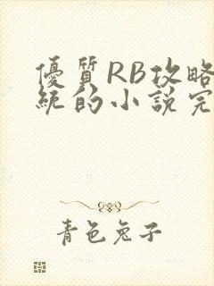 优质RB攻略系统的小说完整版