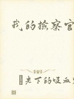 我的检察官先生