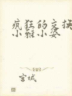 疯狂的交换小静小雅小姿