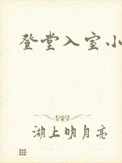 登堂入室小说