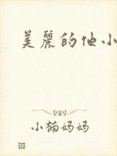 美丽的他小说