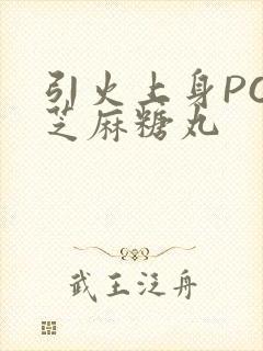 引火上身POP芝麻糖丸