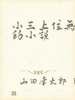 小三上位无三观的小说