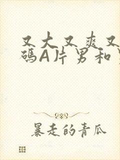 又大又爽又黄无码A片男和男