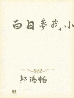 白日梦我小说