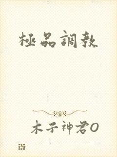 极品调教