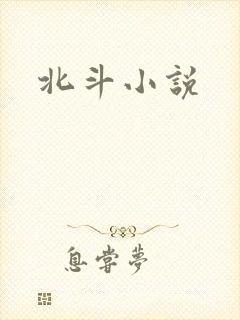 北斗小说