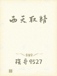 西天取精