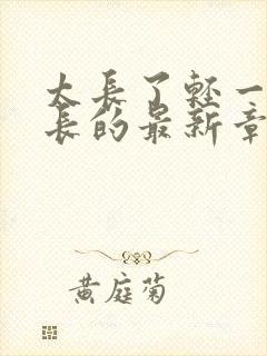 太长了轻一点局长的最新章节