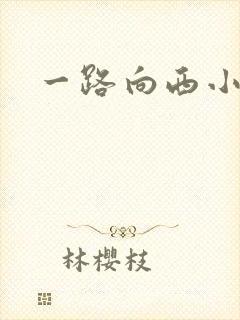 一路向西小说