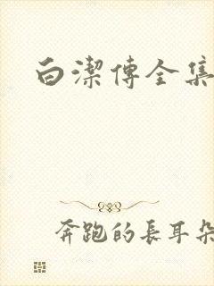 白洁传全集
