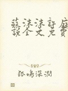 苏沫沫许庭川小说全文免费阅读