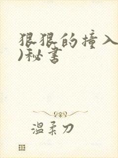 狠狠的撞入(h)秘书