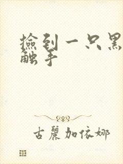 捡到一只黑心小触手