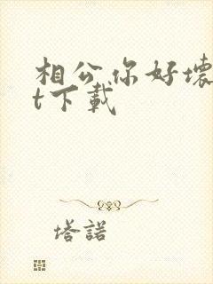 相公你好坏txt下载