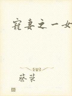 宠妻之一女二夫