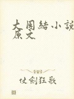 大团结小说阅读原文