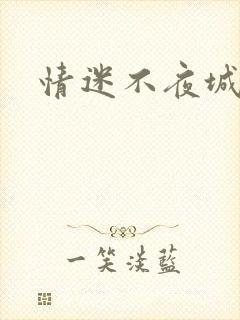 情迷不夜城