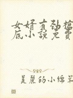 女婿有劲枪枪到底小说免费阅读