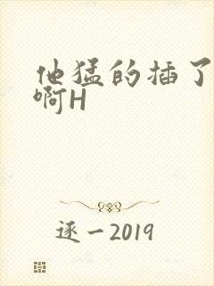 他猛的插了进去啊H