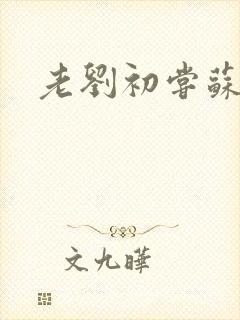 老刘初尝苏荷媳