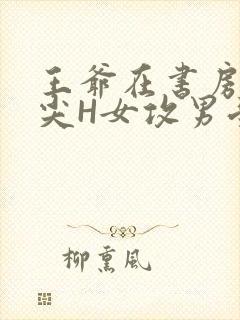 王爷在书房含乳尖H女攻男受