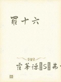 罗十六