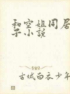 和空姐同居的日子小说