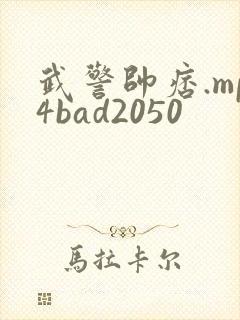 武警帅痞.mp4bad2050
