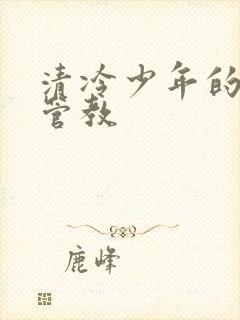 清冷少年的严厉管教