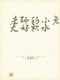 老师的小兔子好大好软水