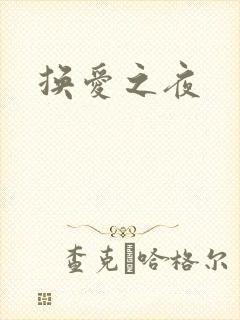 换爱之夜