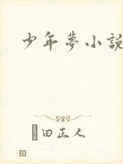 少年梦小说