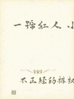 一号红人 小说