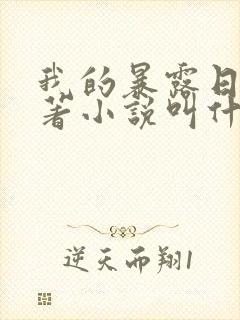 我的暴露日记原著小说叫什么