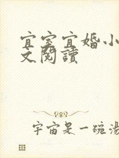 宜室宜婚小说全文阅读