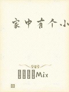 家中有个小姨子
