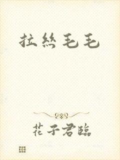 拉丝毛毛