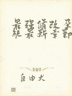 最强修改孕妇系统最新章节