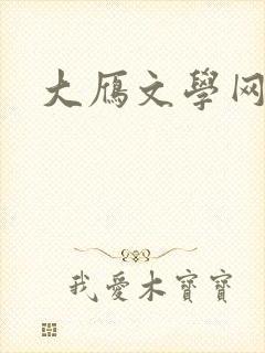 大雁文学网