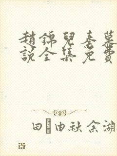 赵锦儿秦慕修小说全集免费