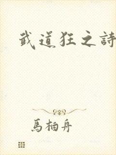 武道狂之诗
