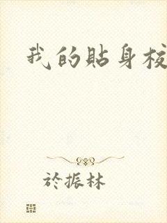 我的贴身校花