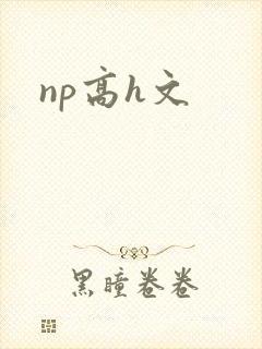 np高h文