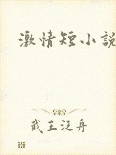 激情短小说