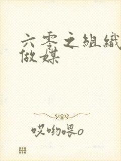 六零之组织给我做媒