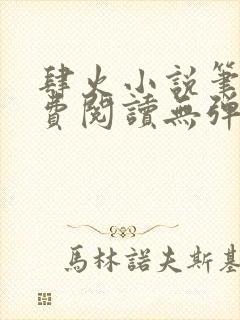 肆火小说笔趣免费阅读无弹窗